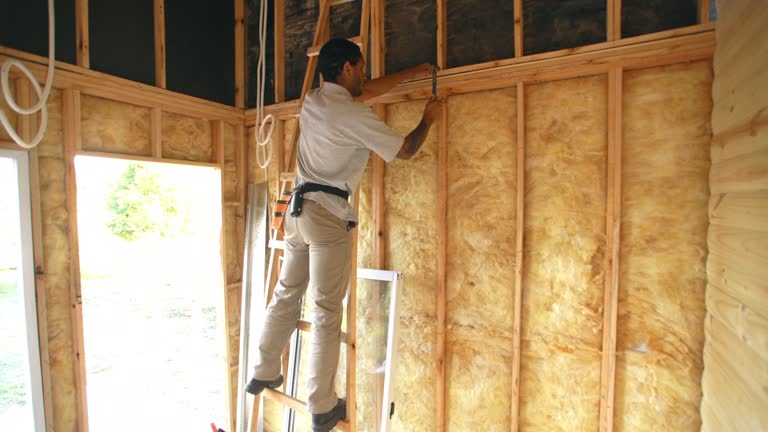 Belville, NC Insulation Installation & Removal Company